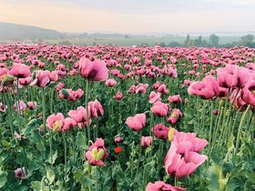 3 Tage - Kulinarischer Kurzurlaub - Romantische Auszeit