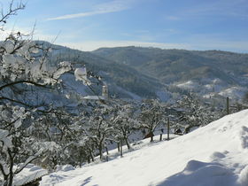 Kleine Auszeit im Schwarzwald im Herbst & Winter