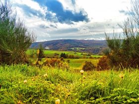 Die Spessart Woche 2025