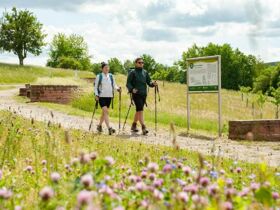 Die Spessart Woche 2025
