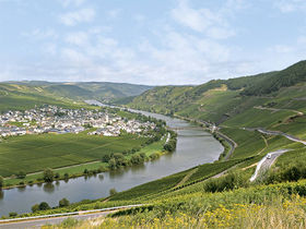 Das ist Wanderbar - 5 Tage entlang der Mosel inkl. HP & Lunchpaket