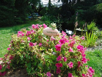 Bild 21 von 23