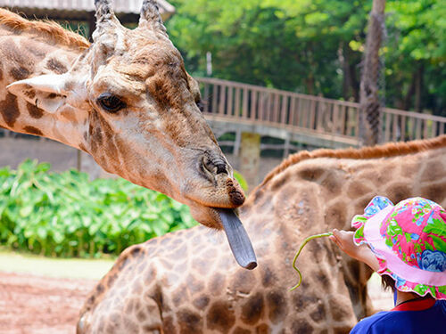 Willkommen im Schweriner Zoo 2026