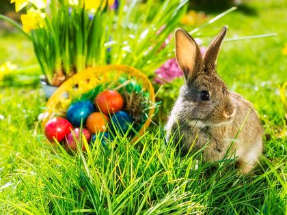 Osterspecial - Ein Besuch in Düsseldorf - 3 Tage