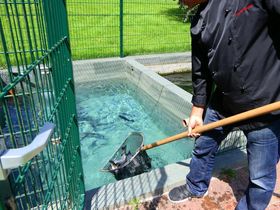 5 Tage Urlaub in Bayern direkt am See.