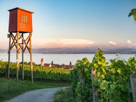 3 Tage Kurzurlaub am Bodensee