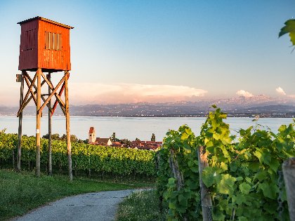 Die Bodenseewoche in Hagnau
