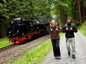  Gesunde HARZ- Luft schnuppern für 3 Tage