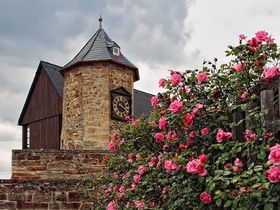 3 Tage Waldeck & Erholung am Edersee inkl. Mehrgangmenü
