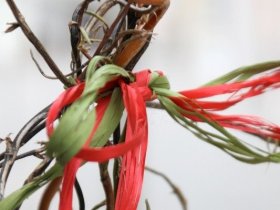 Testangebot - Vioma 3 Nächte und schönes Land in Sicht!