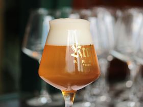 Bier & Genuss Erleben im Brauhaus an der Mosel