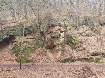  Wandern rund um Trier und an der Mosel 2026
