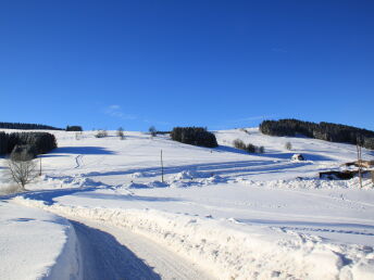 Bild 22 von 24