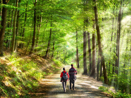 7 Tage im Naturhotel Lindenhof im Erzgebirge inkl. Halbpension