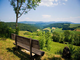 Black Forest Love