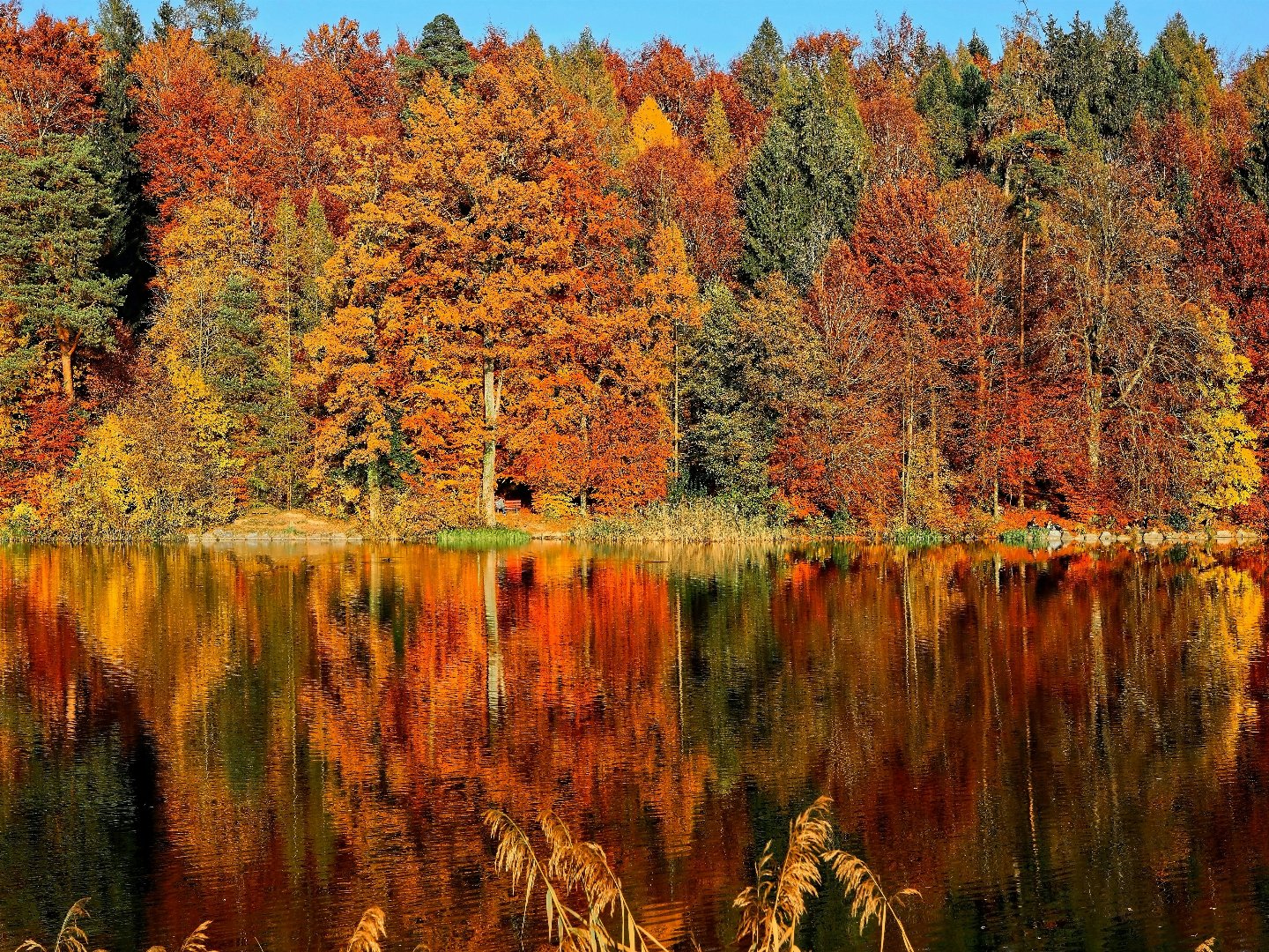 Goldene Auszeit