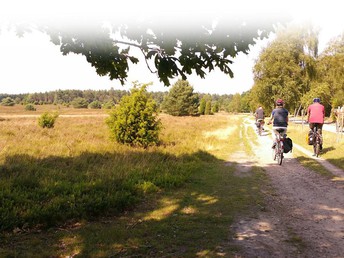 4 Tage Heide-Kurzurlaub inkl. Jod-Sole-Therme  