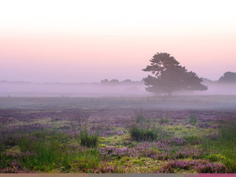 4 Tage Heide-Kurzurlaub inkl. Jod-Sole-Therme  