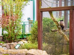 MÄDELS Trip 3 Tage | Wellness & Party auf Usedom