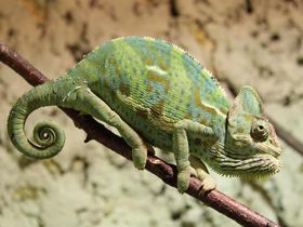 MÄDELS Trip 3 Tage | Wellness & Party auf Usedom