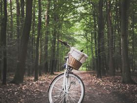 MÄDELS Trip 3 Tage | Wellness & Party auf Usedom