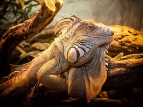 MÄDELS Trip 3 Tage | Wellness & Party auf Usedom