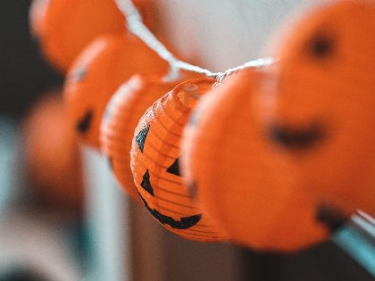 Halloween am Usedomer Tropenzoo inkl. Gruselbuffet am 31.10. (3ÜN)