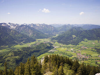 Bild 18 von 18