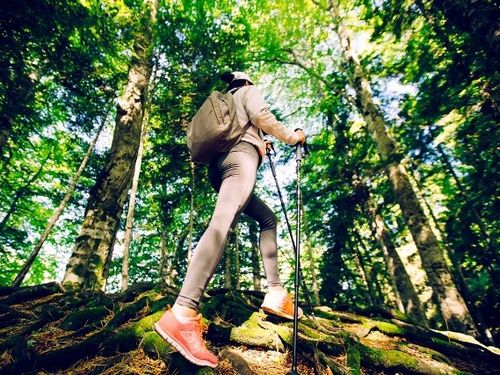 Genießen am Fuße des Brockens – 3 Tage Schierke, Wandern & Wellness im Harz