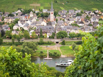 Bild 31 von 36