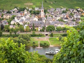 Mosel hautnah inkl. Halbpension | 6 Nächte