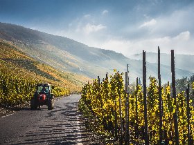 Winzer-Zeit an der Mosel mit Weinprobe & Wellness