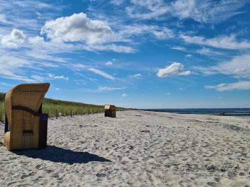 Urlaub mit meinem Vierbeiner