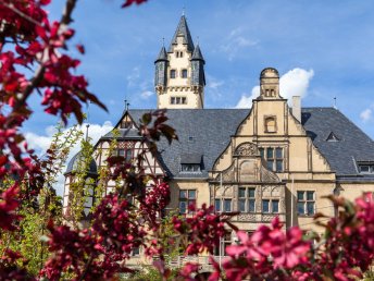 Entdecke die historische Stadt Quedlinburg