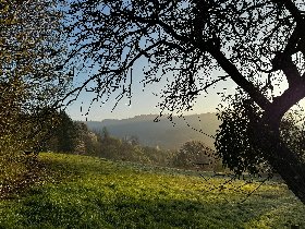 6 Tage | Wander-Arrangement in der Region Müllerthal | Luxemburger Schweiz 