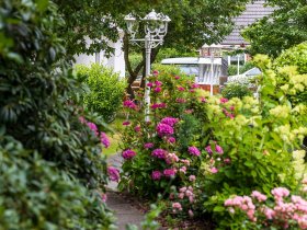 6 Tage St. Peter-Ording, unberührte Dünenlandschaft an der Nordsee