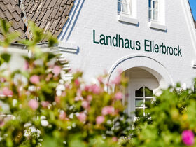 6 Tage St. Peter-Ording, unberührte Dünenlandschaft an der Nordsee