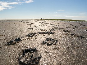 2 Tage...darf´s ein bisschen Meer sein?