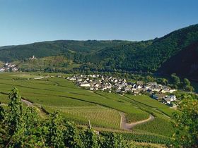 Sparwoche an der Mosel - 5 Tage
