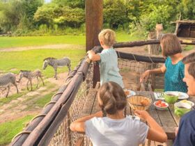 Designhotel & Zoo Leipzig: Babyelefant, Affen und Co. | 4 Tage