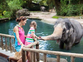 Designhotel & Zoo Leipzig: Babyelefant, Affen und Co. | 3 Tage