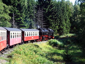 10% Frühbucher- Rabatt- Erlebnisurlaub im Naturpark Harz - 6 Tage  inkl. Halbpension