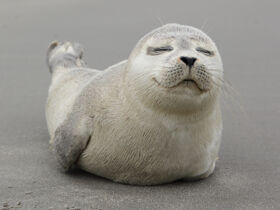 Eine Woche Erholung auf Borkum