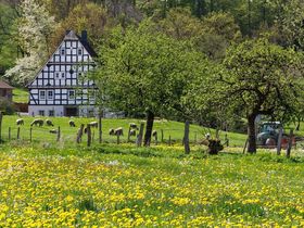 2 Tage Sauerland | Genießer TAG mit Halbpension 