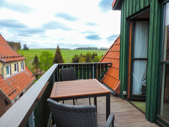 5 Tage Natur pur im Oberharz inkl. Halbpension und Bahnfahrt auf den Brocken - in der Ferienwohnung
