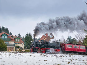 7 Romantische Erlebnistage - Natur pur im Oberharz inkl. Halbpension