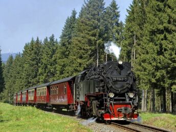 5 Tage Natur pur im Oberharz inkl. Halbpension und Bahnfahrt auf den Brocken - in der Ferienwohnung