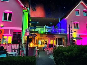 Mit Frauchens Liebling am Ostseestrand - Hundearrangement 