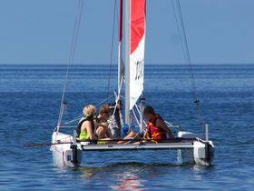 Mit Frauchens Liebling am Ostseestrand - Hundearrangement 