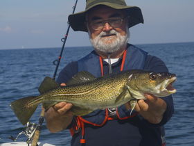 Mit Frauchens Liebling am Ostseestrand - Hundearrangement 